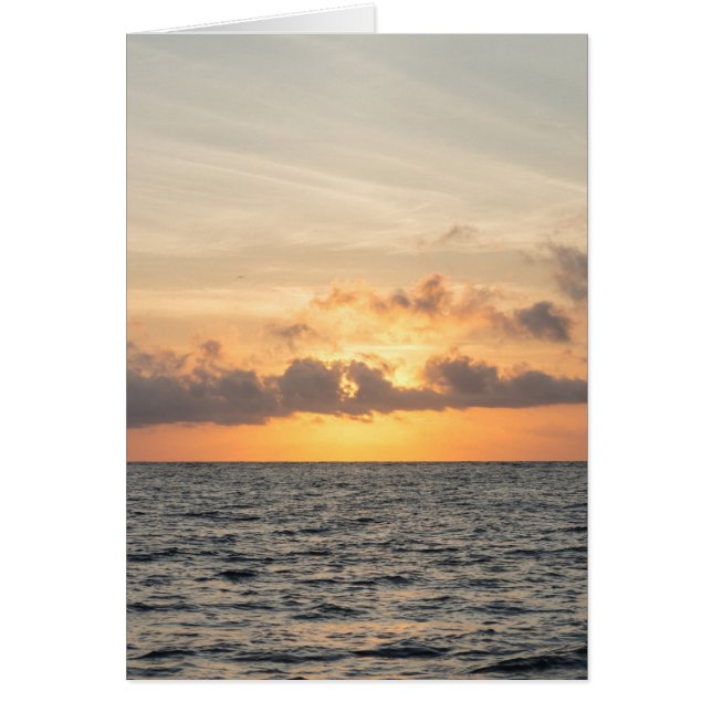 Folly Beach Morning (Devant)