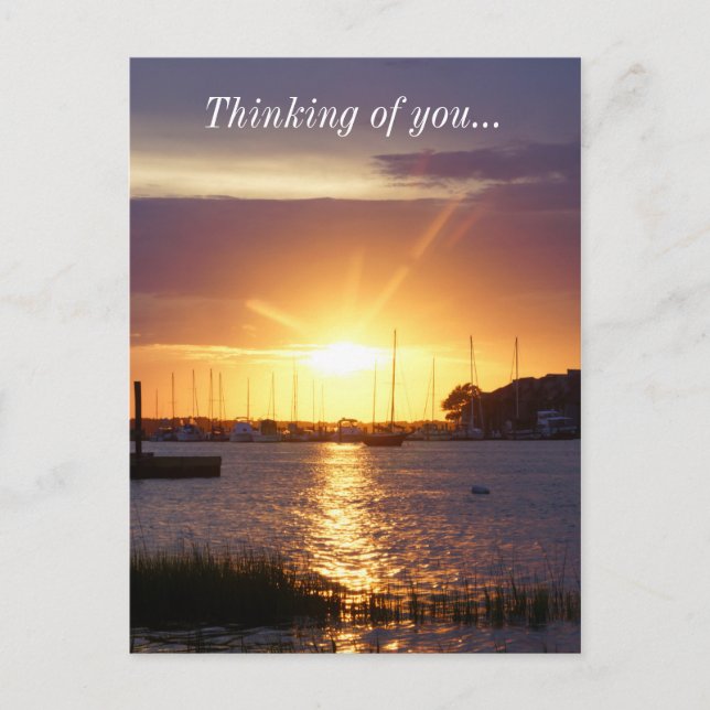 Folly River Sunrays Postcard (Front)