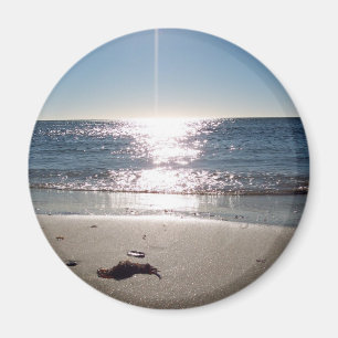 folly sunrise2 magnet