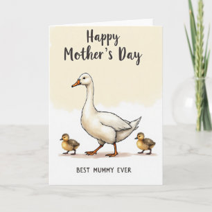 Fond crème Carte Aviaire