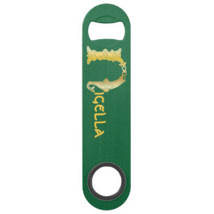 Fond décoratif du 16e siècle Celtic N