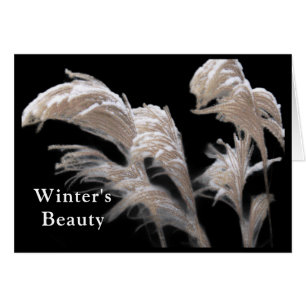 FOND PENSÉES DE VOUS CETTE SAISON DE VACANCES/ NEI