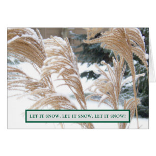 FOND THOUGHTS OF YOU THIS HOLIDAY SEASON/ SNOW