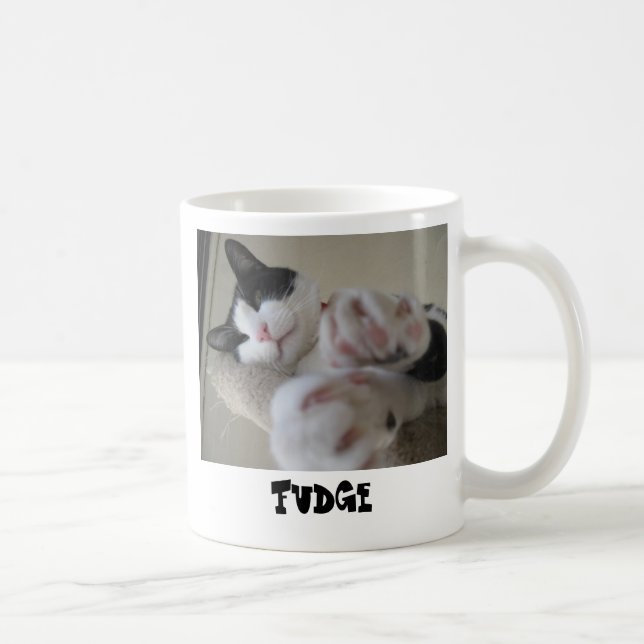 Fondant de tasse d'ermitage (Droite)