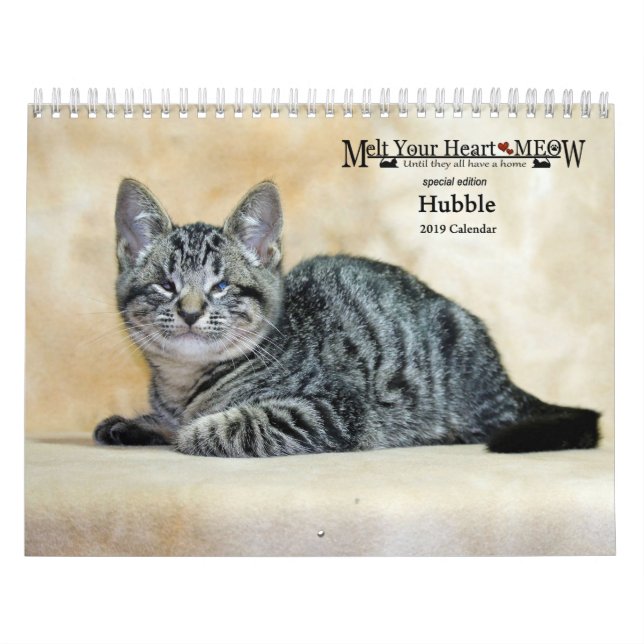 Fondez votre calendrier de Hubble 2019 de Meow de (Protection)