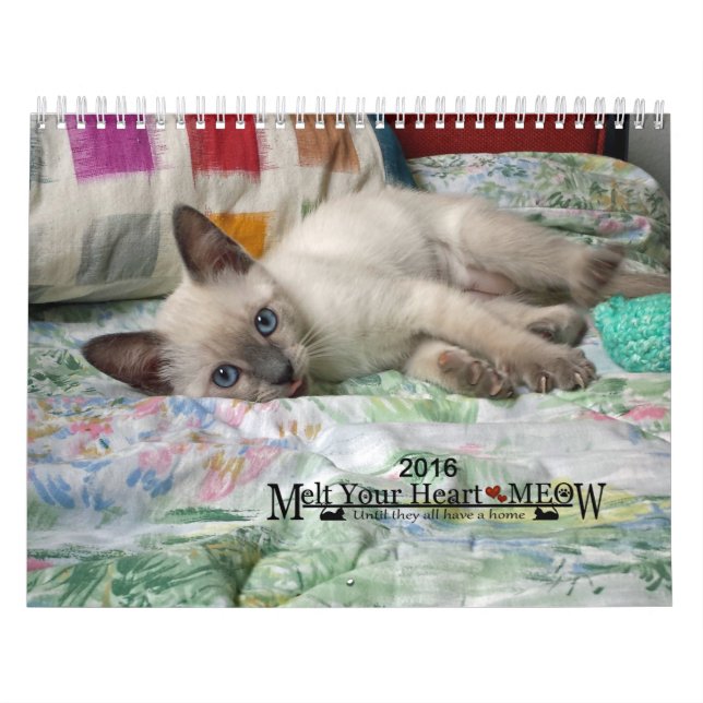 Fondez votre coeur - le calendrier 2016 de chaton (Protection)