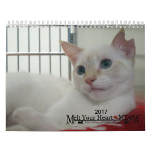 Fondez votre coeur - le calendrier 2017 de chaton