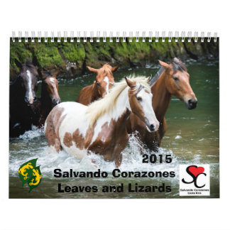 Fonds - calendrier Salvando Corazones 2015