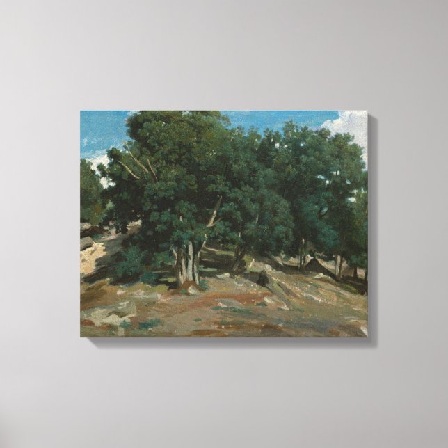 Fontainebleau Oak Trees Canvas Print (Front)