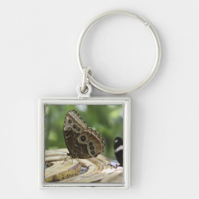 Food for Butterflies Keychain (Front)