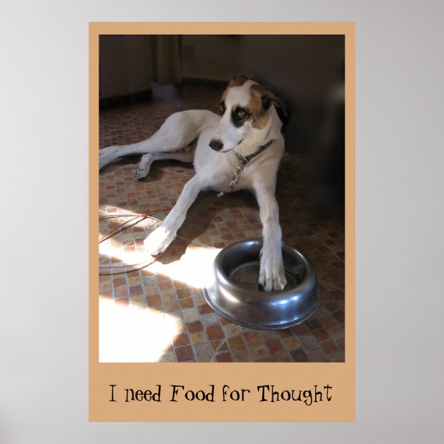 Food for Thought Poster (Front)