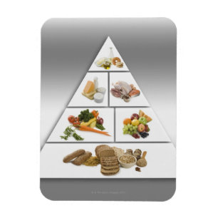 Food pyramid magnet