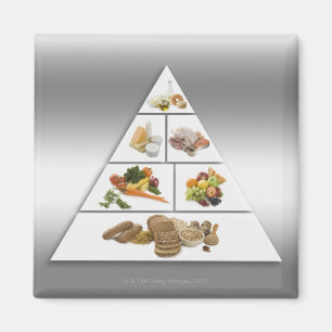 Food pyramid magnet