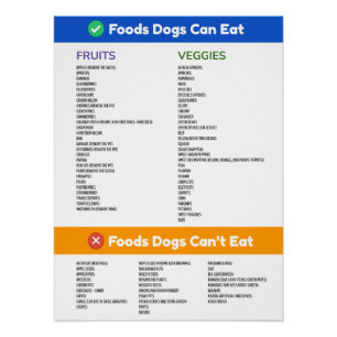 Foods Dogs Can and Can't Mat Large Poster