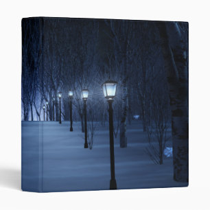 Fool's Light Binder