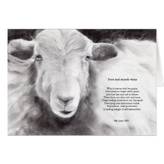 Foot and mouth virus - sheep card