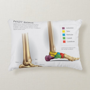  Foot Bone Anatomy Accent Pillow