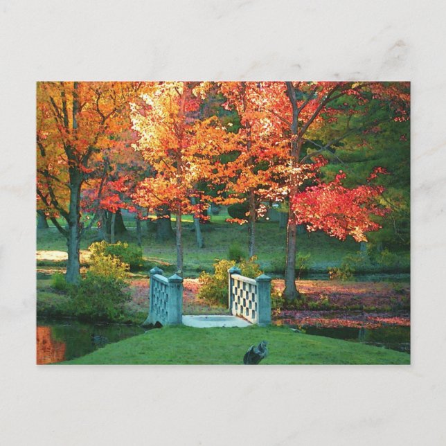 Foot Bridge in Fall Postcard (Front)