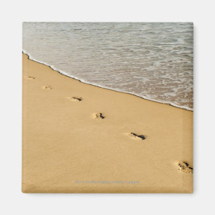 Foot prints in Sand with Wave Magnet
