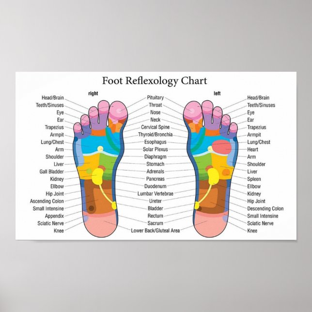 Foot Reflexology 15x9" Poster (Front)