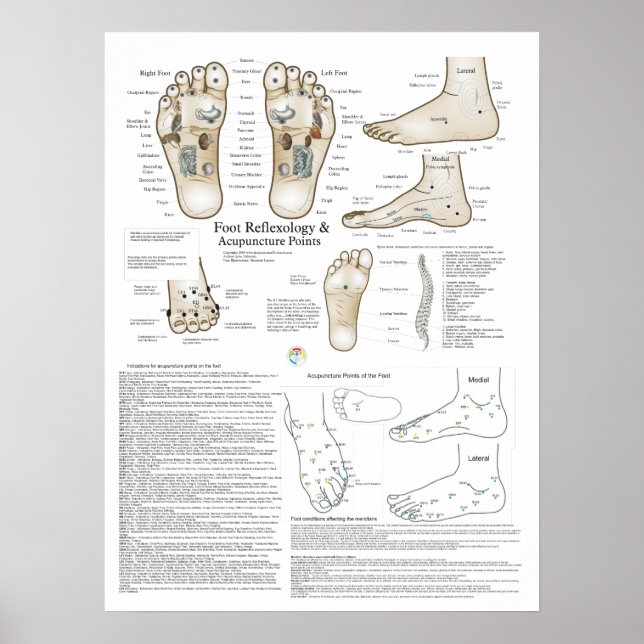 Foot Reflexology and Acupuncture Point Poster (Front)