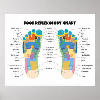 Foot Reflexology Chart 20" x 16", (Matte)