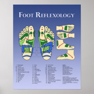 Foot Reflexology chart - Blue