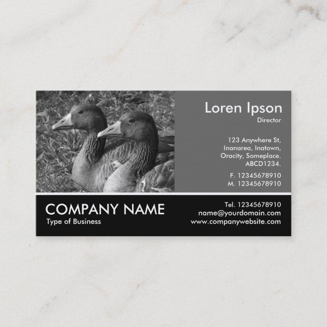 Footed Photo - 60pc Grey - Graylag Geese B&W Business Card (Front)