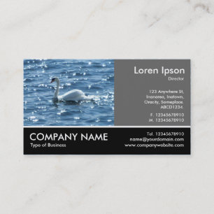 Footed Photo - 60pc Grey - Swan Business Card