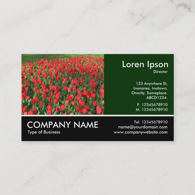 Footed Photo - Bed of Red Tulips 02 Business Card (Front)