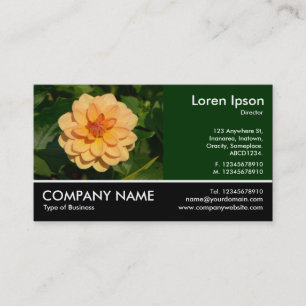 Footed Photo - Dahlia 'David Howard' Business Card