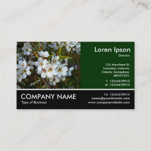 Footed Photo - Dk Green - Cherry Blossom Business Card