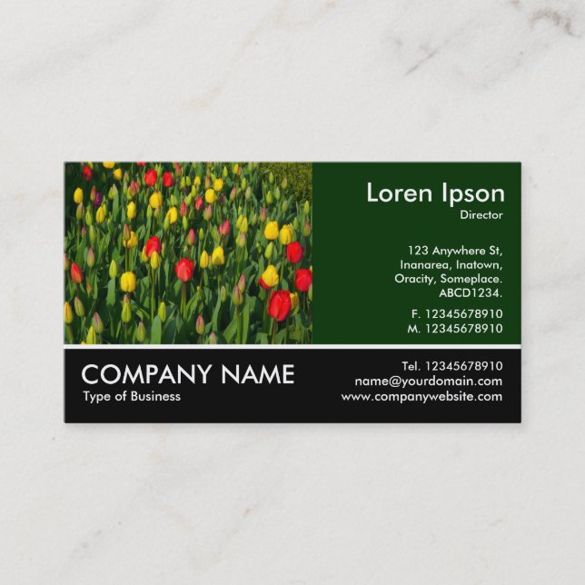Footed Photo - Dk Green - Colourful Tulips Business Card (Front)