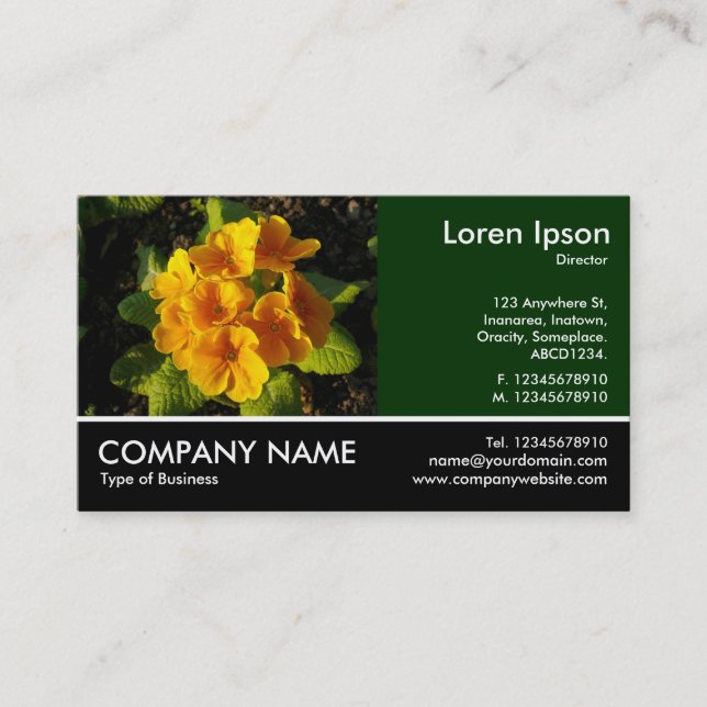 Footed Photo - Dk Green - Primroses Business Card (Front)