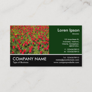 Footed Photo - Dk Green - Red Tulips Business Card