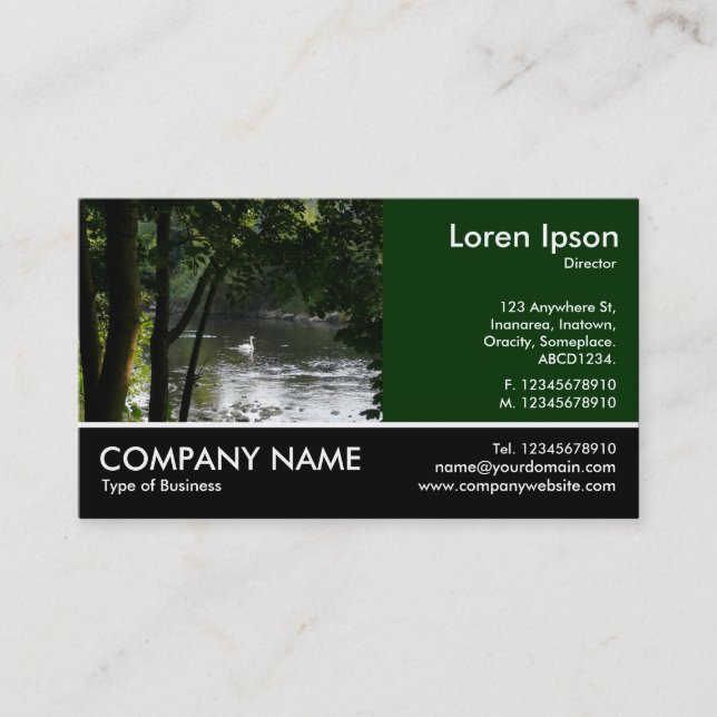 Footed Photo - Dk Green - Swan on a River Business Card (Front)