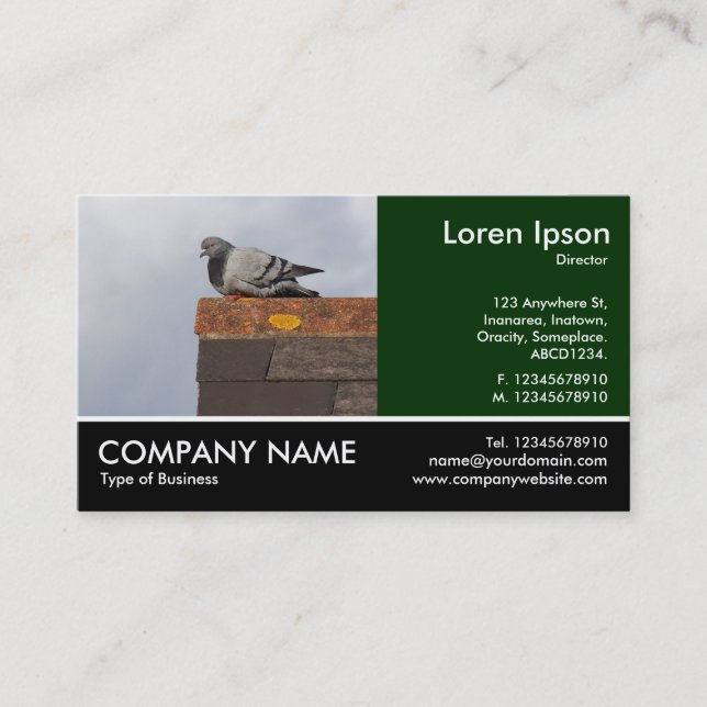 Footed Photo - Good Morning Pigeon Business Card (Front)