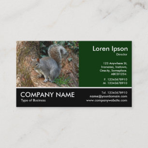 Footed Photo - Grey Squirrel Business Card