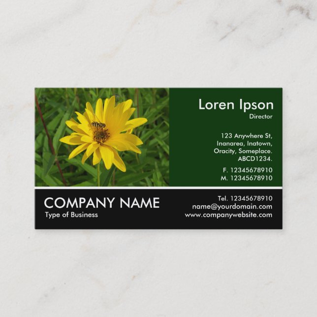 Footed Photo - Hover Fly on a Yellow Chrysanthemum Business Card (Front)