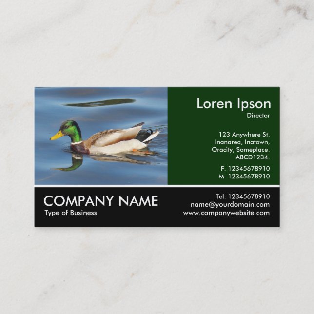 Footed Photo - Mallard Duck Business Card (Front)