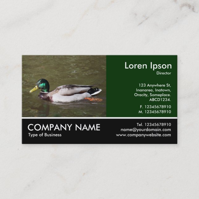Footed Photo - Mallard Duck Business Card (Front)