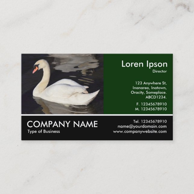 Footed Photo - Mute Swan Business Card (Front)