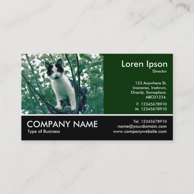 Footed Photo - Superfluity of Naughtiness Business Card (Front)