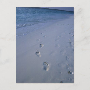 Footmark Postcard