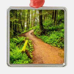 Footpath in Forest Park Metal Ornament