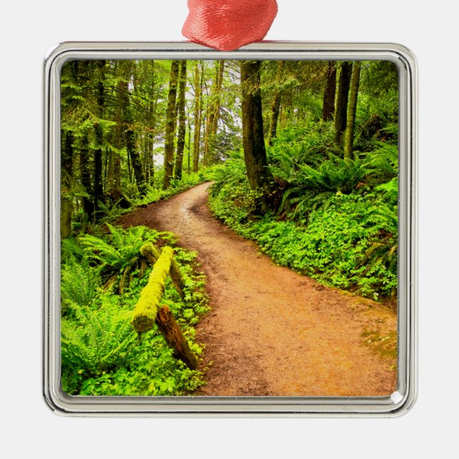 Footpath in Forest Park Metal Ornament (Front)