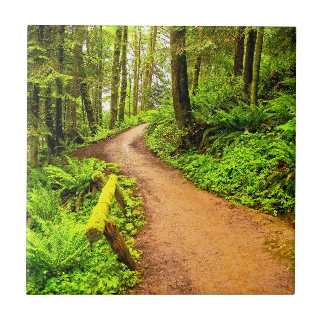 Footpath in Forest Park Tile (Front)