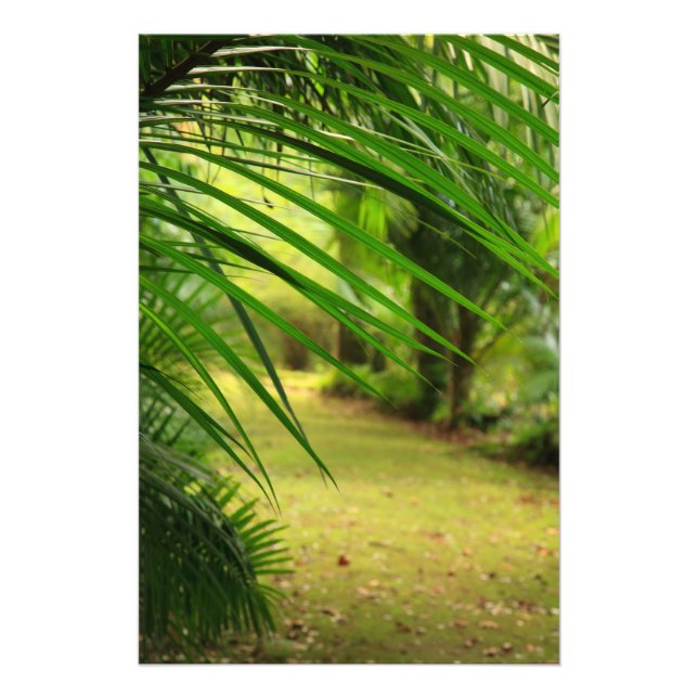 Footpath Photo Print (Front)