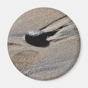 Footprint At Ocean Beach Magnet