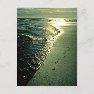 Footprints In Sand, Piha, North Island Postcard
